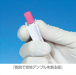 滅菌機用エーステスト バイオロジカルインジケーター ｜ 家田貿易株式